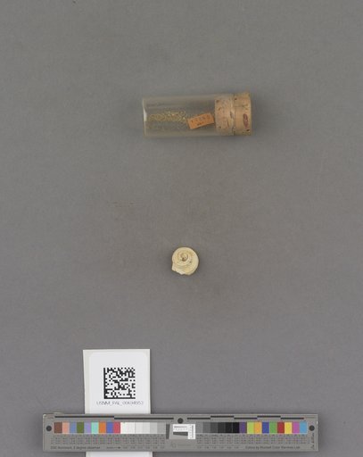NSF ADBC EPICC TCN