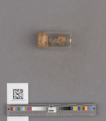 NSF ADBC EPICC TCN