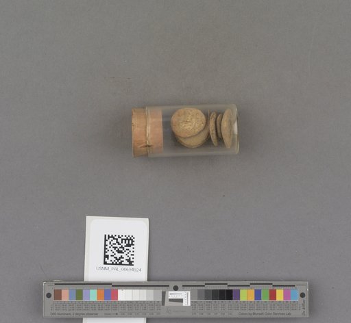 NSF ADBC EPICC TCN
