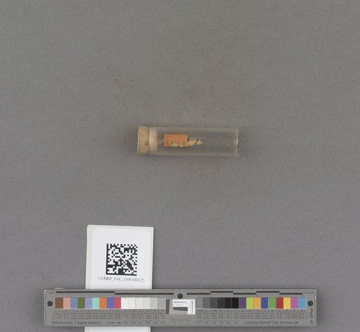 NSF ADBC EPICC TCN