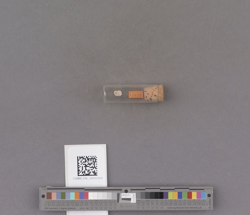 NSF ADBC EPICC TCN