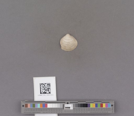 NSF ADBC EPICC TCN