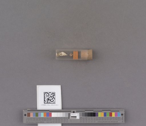 NSF ADBC EPICC TCN