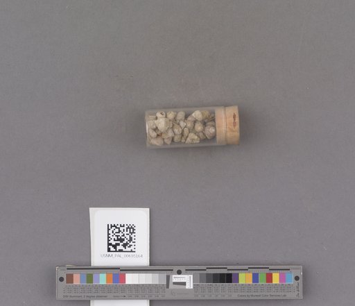 NSF ADBC EPICC TCN