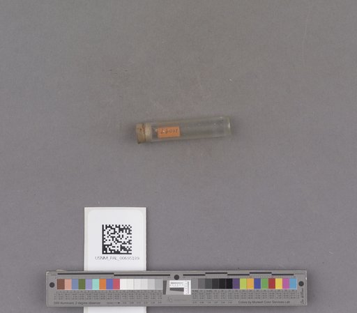 NSF ADBC EPICC TCN