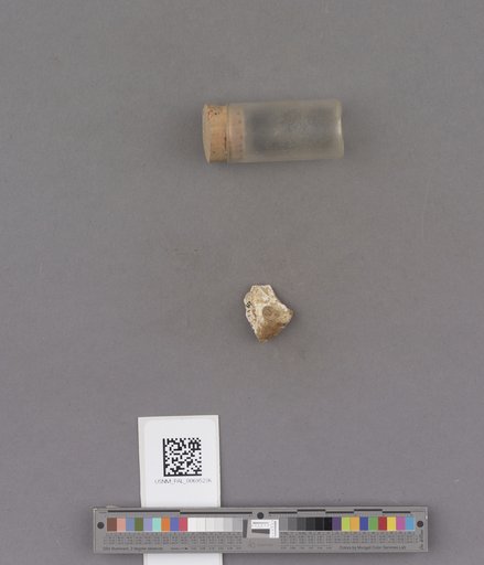 NSF ADBC EPICC TCN