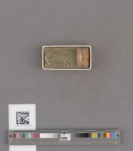 NSF ADBC EPICC TCN
