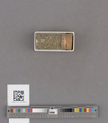 NSF ADBC EPICC TCN