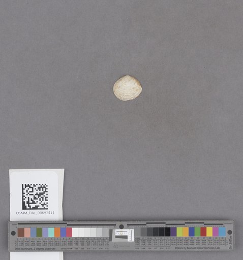 NSF ADBC EPICC TCN