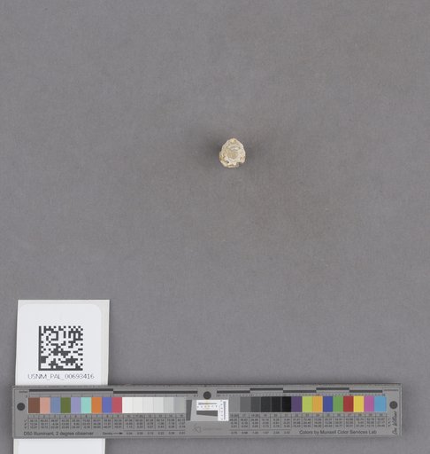 NSF ADBC EPICC TCN