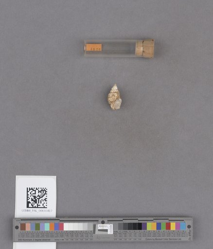 NSF ADBC EPICC TCN