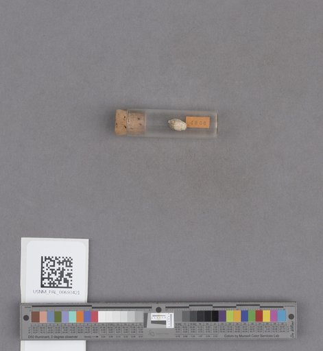 NSF ADBC EPICC TCN