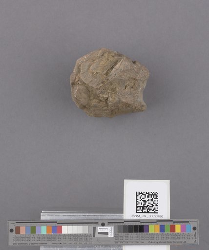 NSF ADBC EPICC TCN