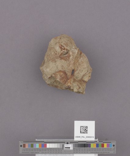 NSF ADBC EPICC TCN