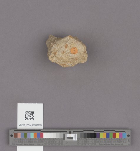 NSF ADBC EPICC TCN