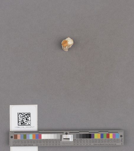 NSF ADBC EPICC TCN