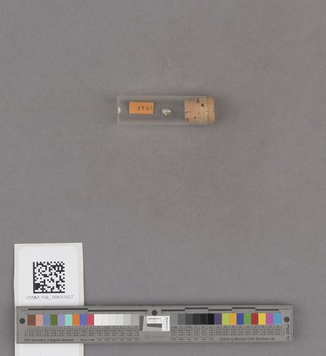 NSF ADBC EPICC TCN