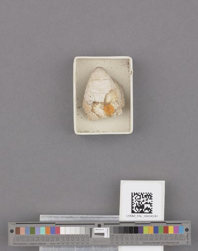 NSF ADBC EPICC TCN