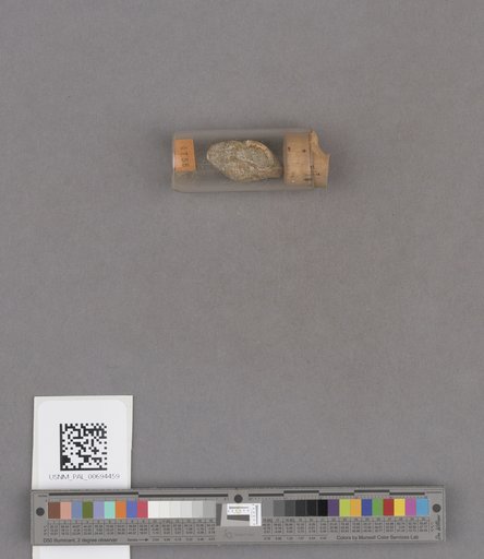 NSF ADBC EPICC TCN