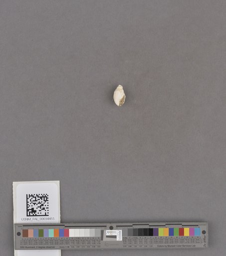 NSF ADBC EPICC TCN