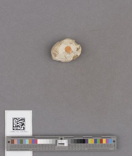 NSF ADBC EPICC TCN