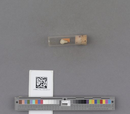 NSF ADBC EPICC TCN