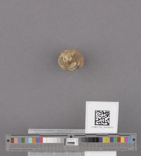 NSF ADBC EPICC TCN