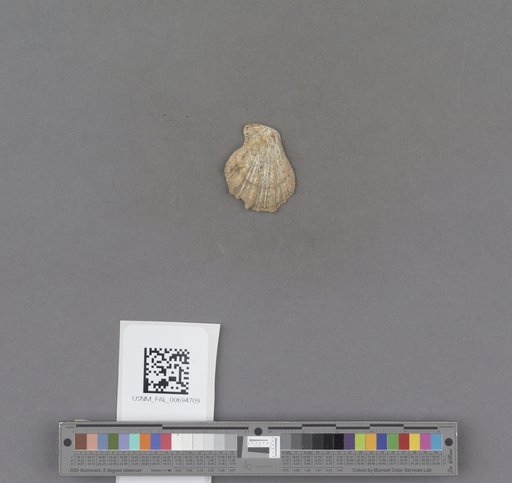 NSF ADBC EPICC TCN