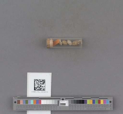 NSF ADBC EPICC TCN
