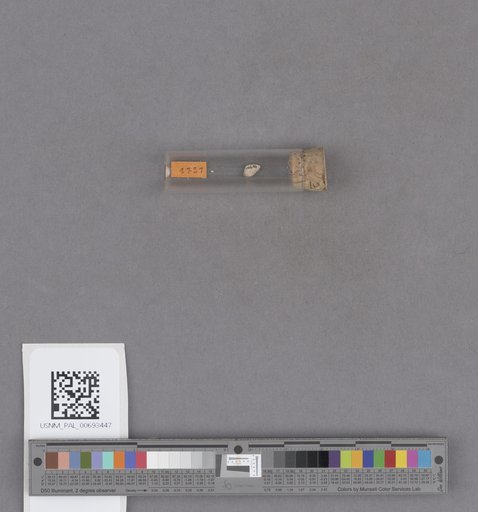 NSF ADBC EPICC TCN