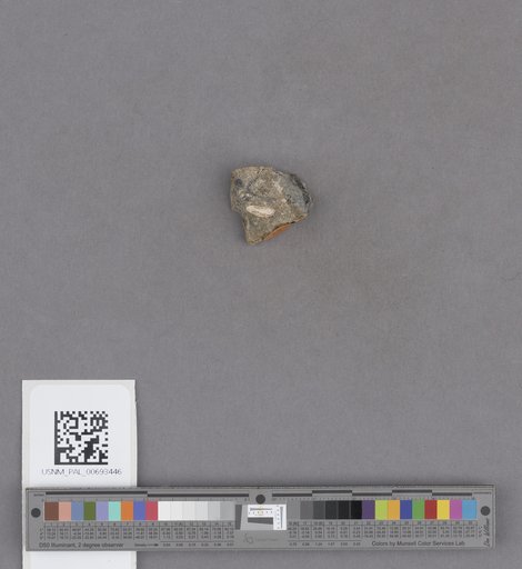 NSF ADBC EPICC TCN