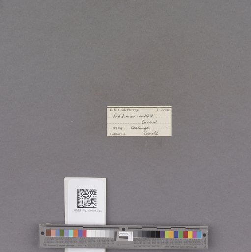 NSF ADBC EPICC TCN