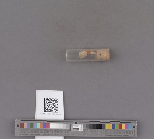 NSF ADBC EPICC TCN
