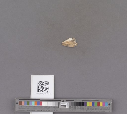 NSF ADBC EPICC TCN