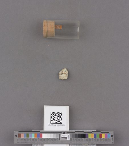 NSF ADBC EPICC TCN