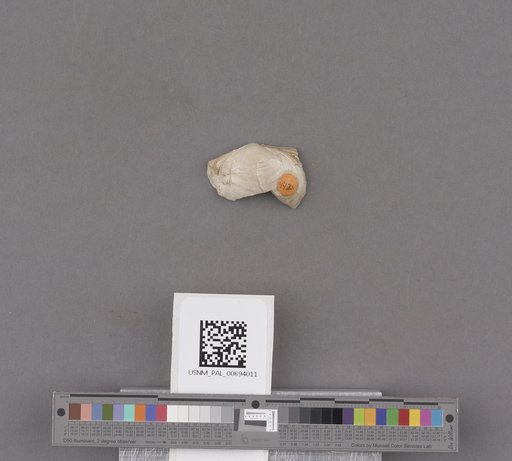 NSF ADBC EPICC TCN