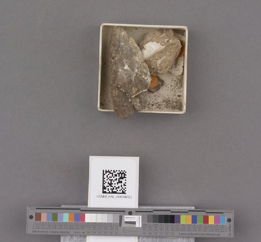 NSF ADBC EPICC TCN