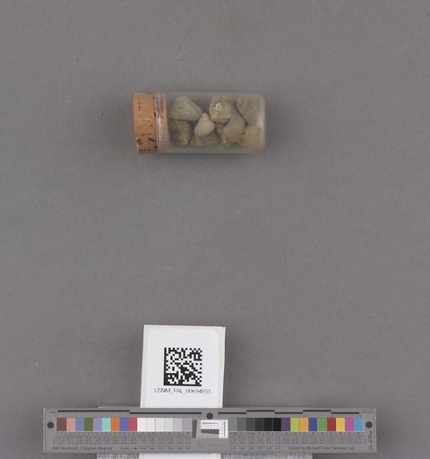 NSF ADBC EPICC TCN
