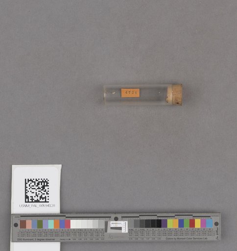 NSF ADBC EPICC TCN