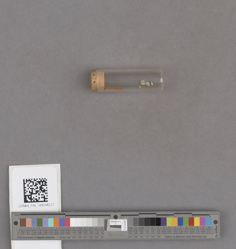 NSF ADBC EPICC TCN