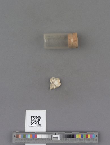 NSF ADBC EPICC TCN
