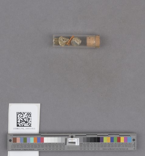 NSF ADBC EPICC TCN