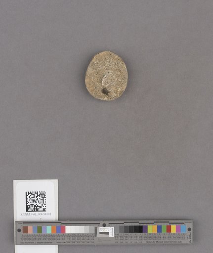 NSF ADBC EPICC TCN