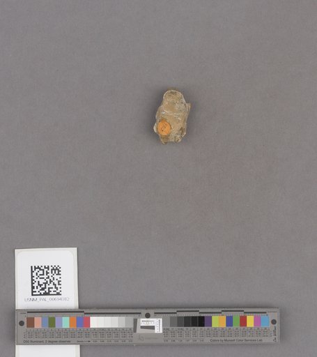 NSF ADBC EPICC TCN