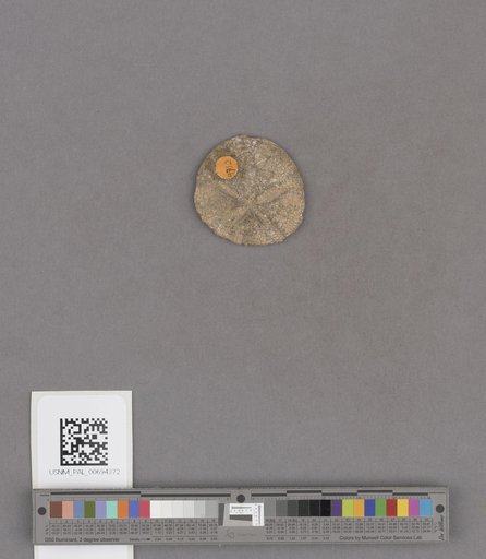NSF ADBC EPICC TCN