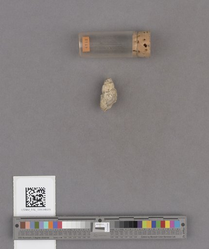 NSF ADBC EPICC TCN