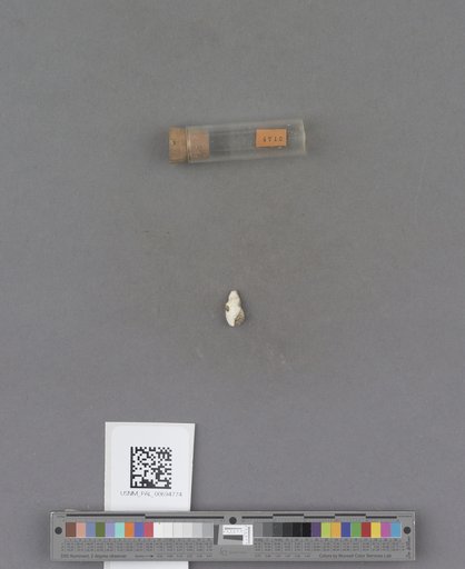 NSF ADBC EPICC TCN