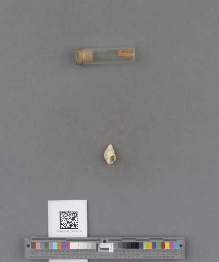NSF ADBC EPICC TCN
