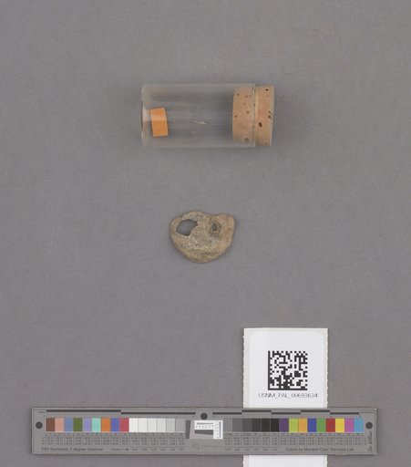 NSF ADBC EPICC TCN