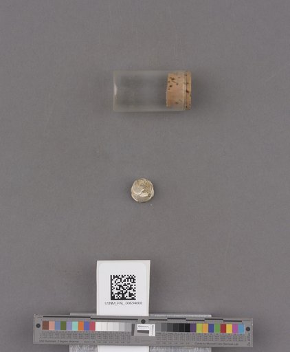 NSF ADBC EPICC TCN